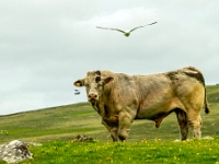 Isle of South Uist